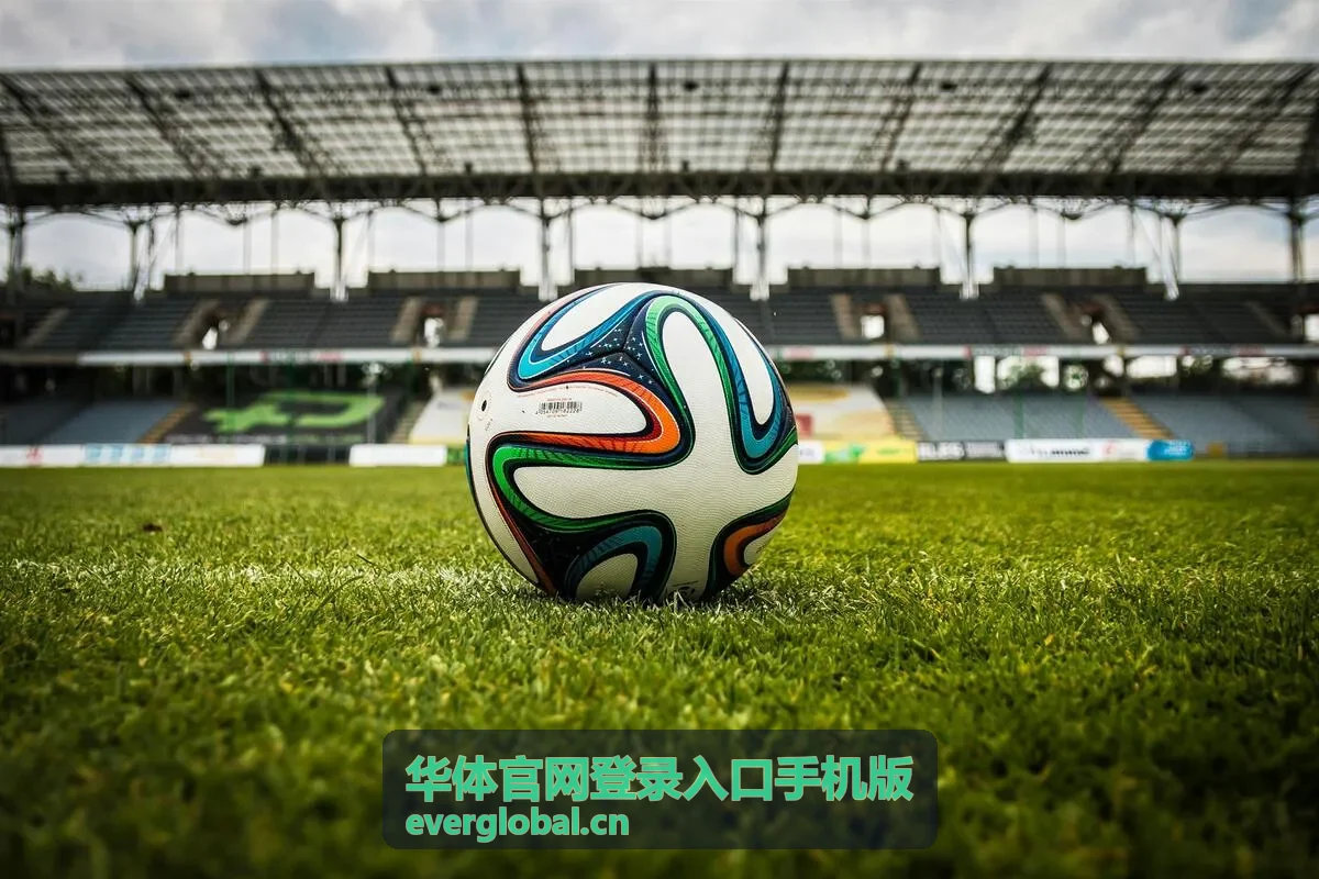 华体官网登录入口手机版安全设置入口示意