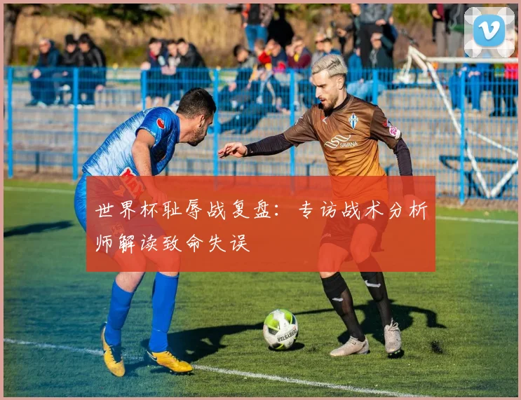 世界杯耻辱战复盘：专访战术分析师解读致命失误