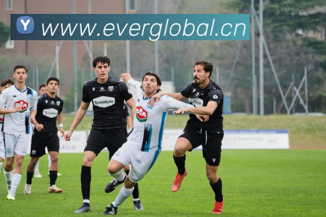 开云kaiyun网页版登陆品牌故事